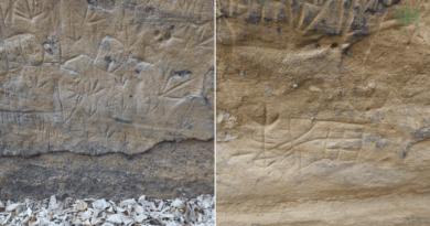 Tesouro arqueológico: historiador descobre sítio de gravuras rupestres históricas em fazenda em Tucano.