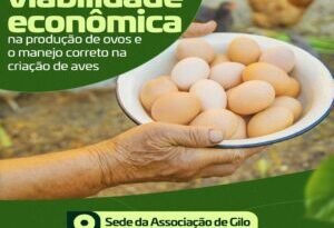 Roda de Aprendizagem: Produção Sustentável de Ovos!