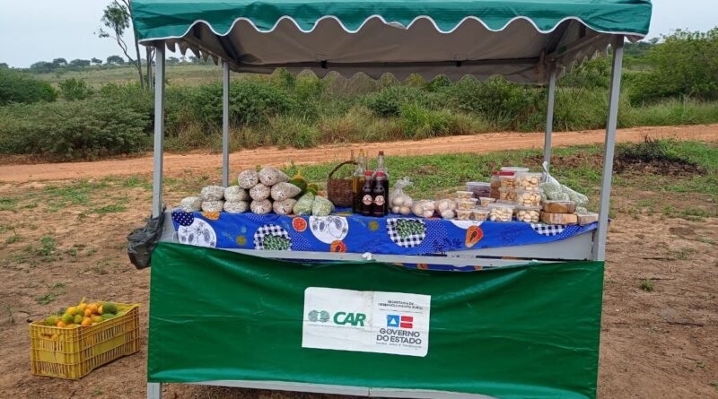 ECONOMIA QUE NASCE DO CHÃO