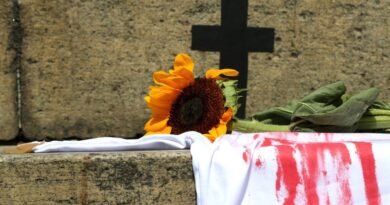 Número de vítimas de feminicídio supera em 38% registros oficiais