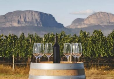 Vinho fatura R$ 21 bi e Nordeste vira fronteira estratégica de consumo